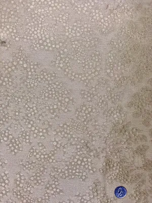 Beige/Metallic Gold Blended Silk Novelties SMH-03 Fabric