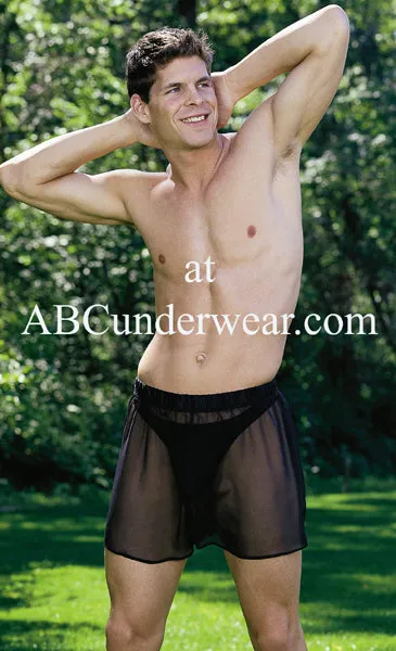 Clearance Sale: Small Sheer Black Silk Boxer