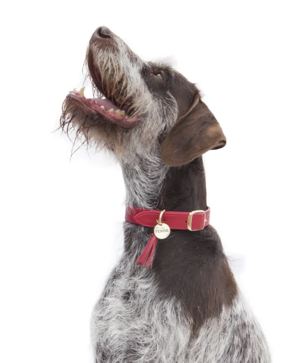 Feroz Scarlet Red Leather Collar