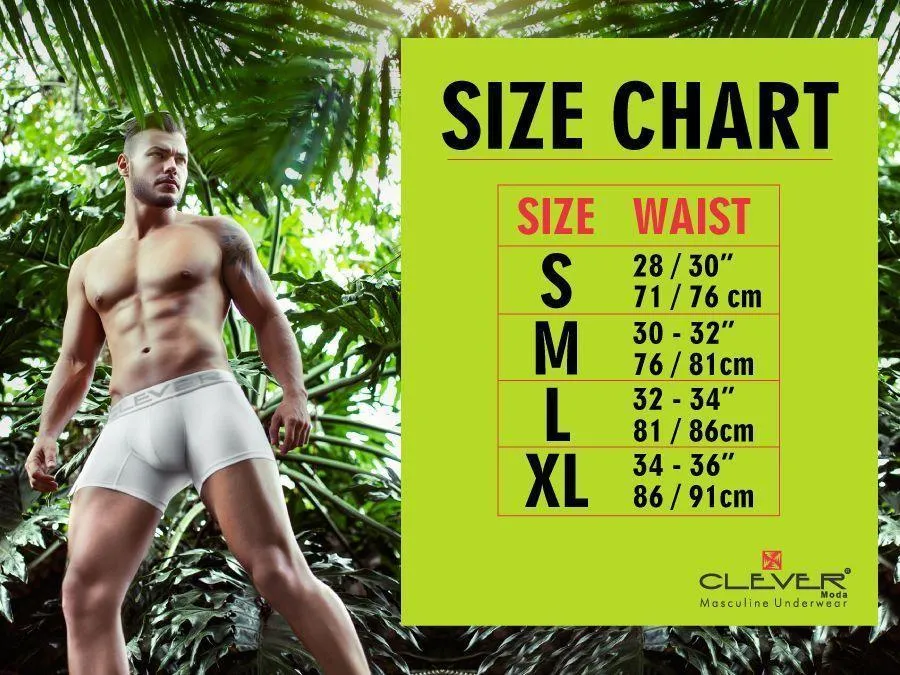 Persian Swim Briefs