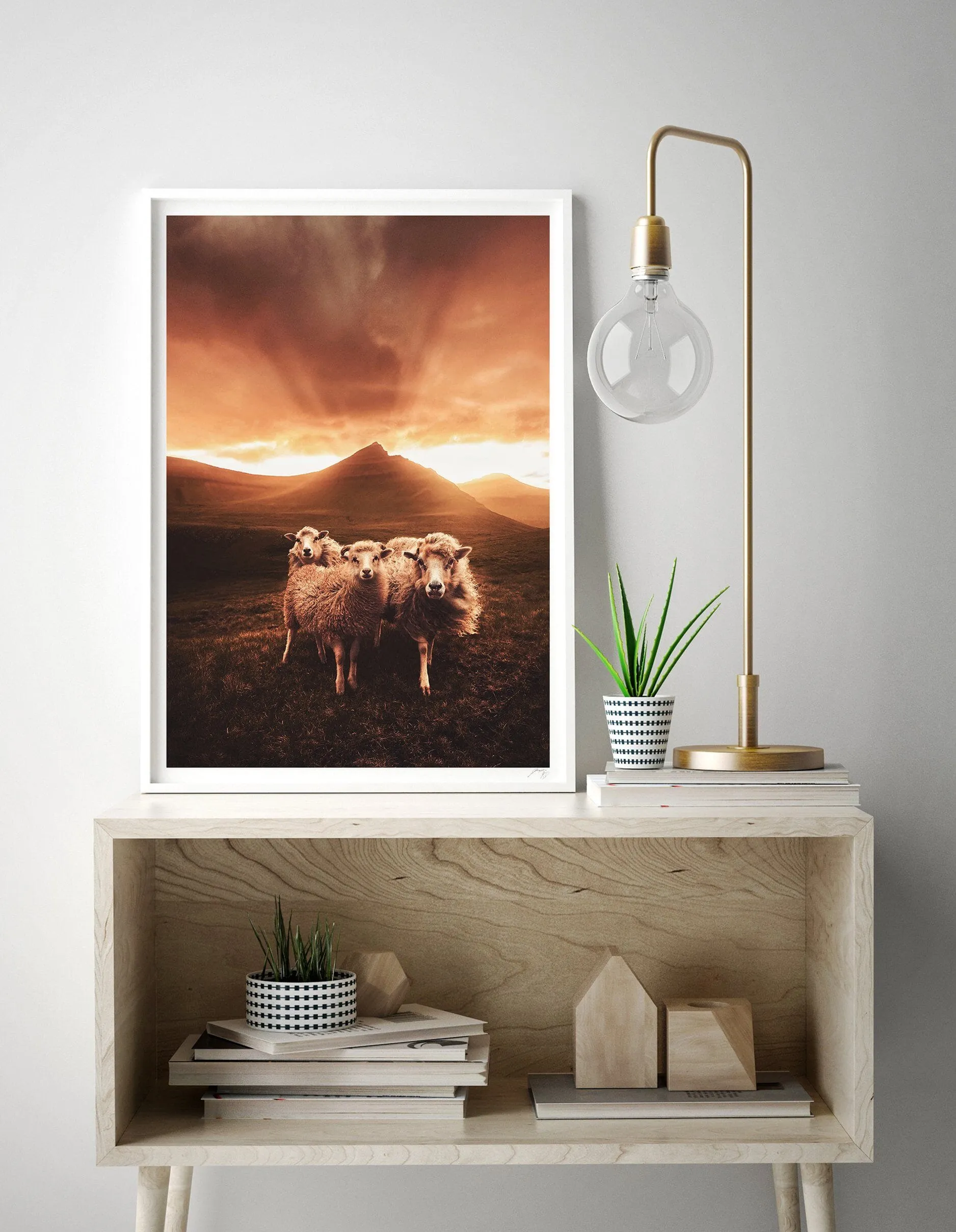 Sheep Gang Fine Art Print