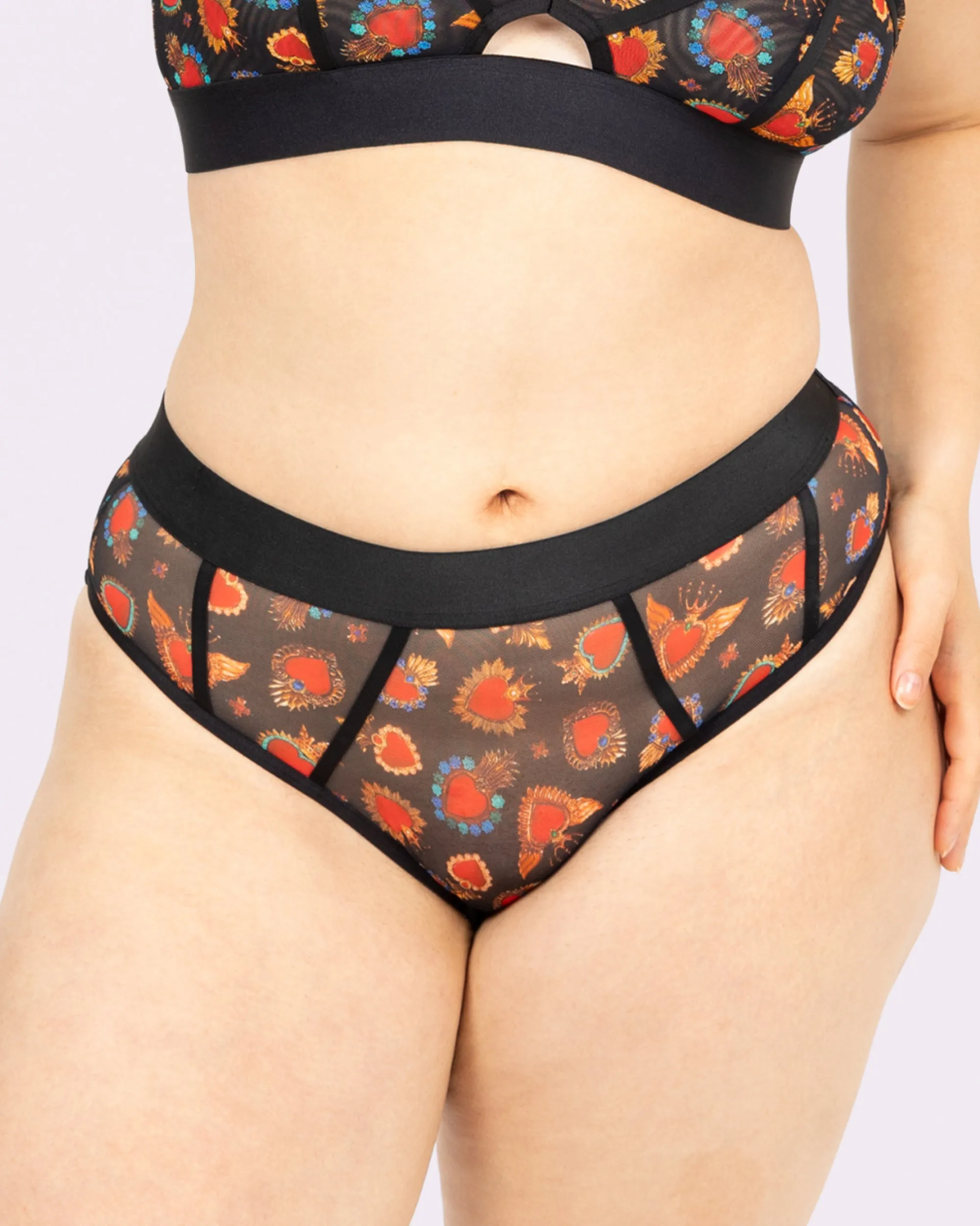 Silky Mesh Sheer Cheeky | Silky Mesh (Crowned Hearts)