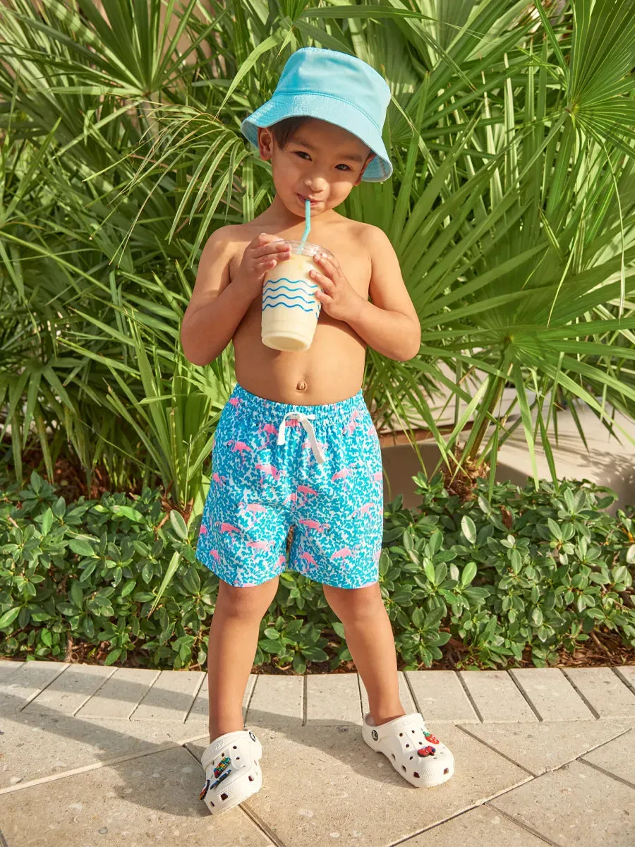 The Mini Mingos (Toddler Swim)