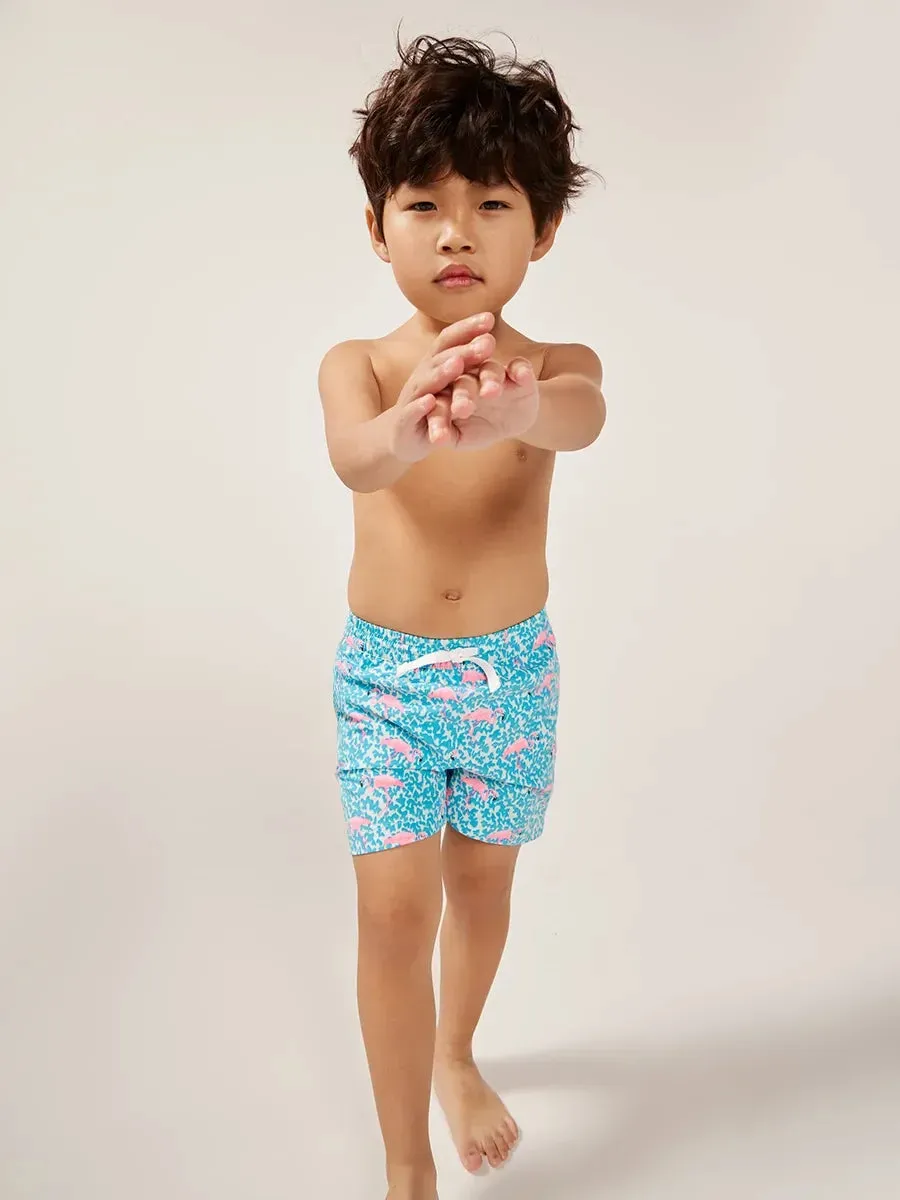 The Mini Mingos (Toddler Swim)