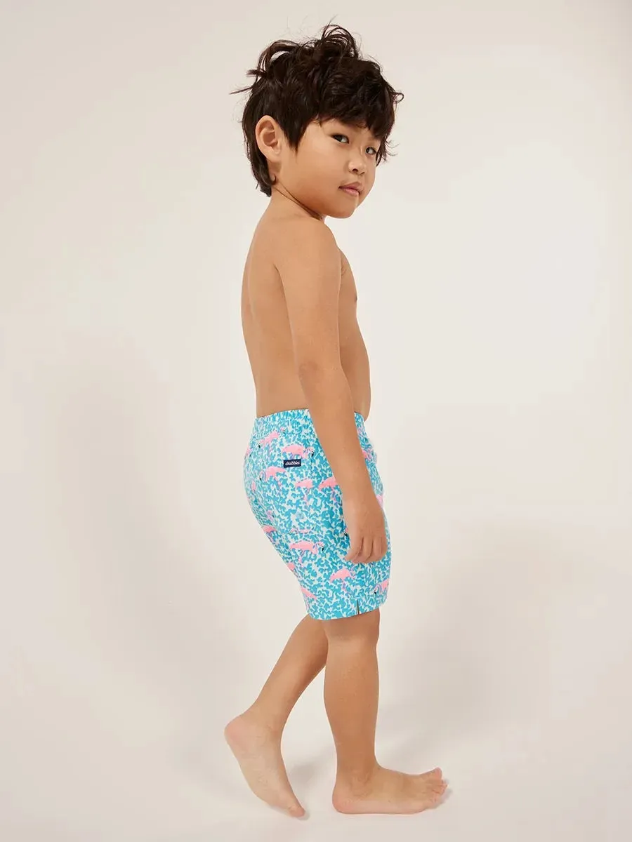 The Mini Mingos (Toddler Swim)