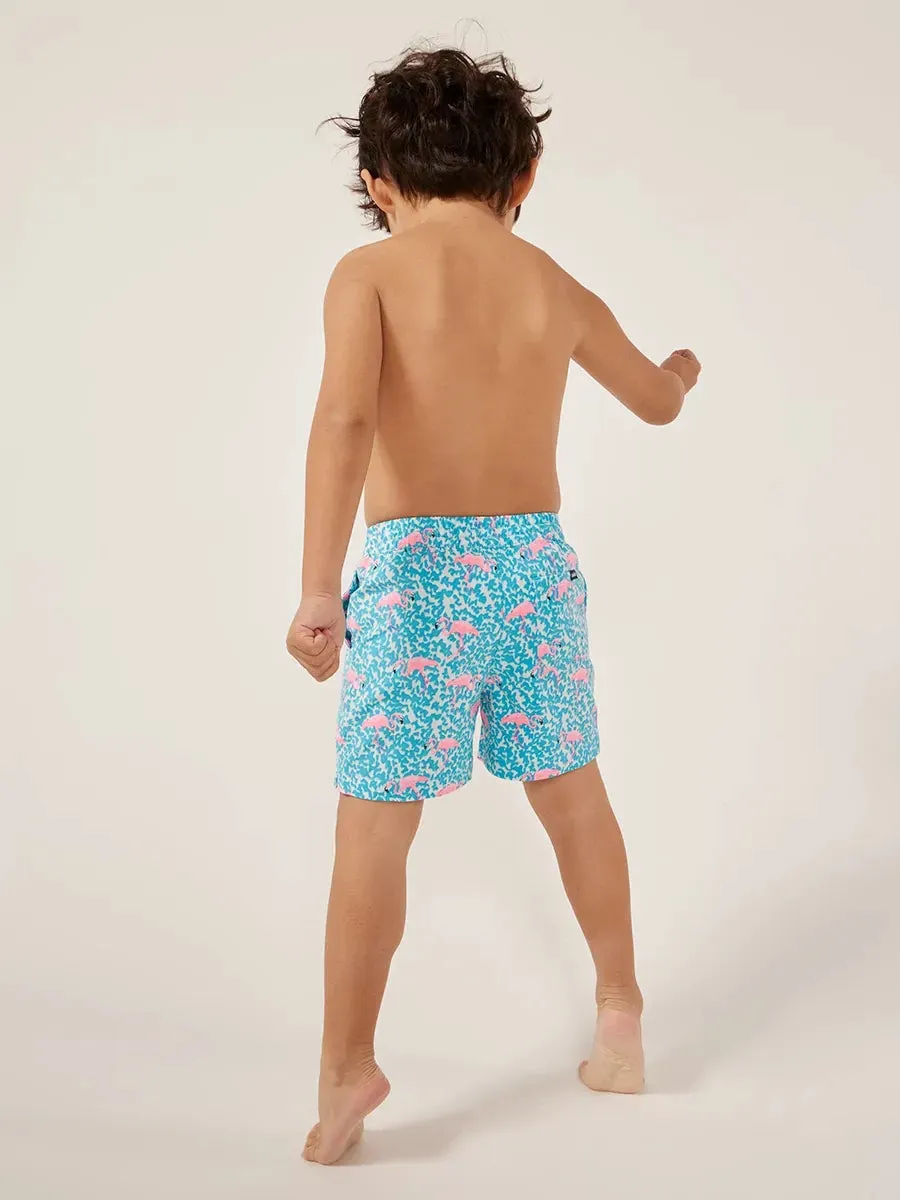 The Mini Mingos (Toddler Swim)
